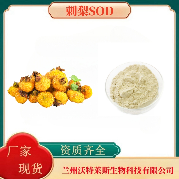 刺梨SOD2万u/g   刺梨粉   刺梨果粉CV   食品原料  多种规格  沃特莱斯生物