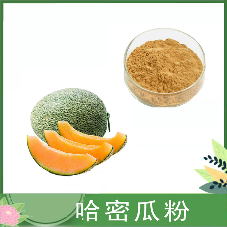 哈密瓜粉 水溶水果粉 哈密瓜果粉 固体饮料糕点原料 喷雾干燥 SC厂家现货供应
