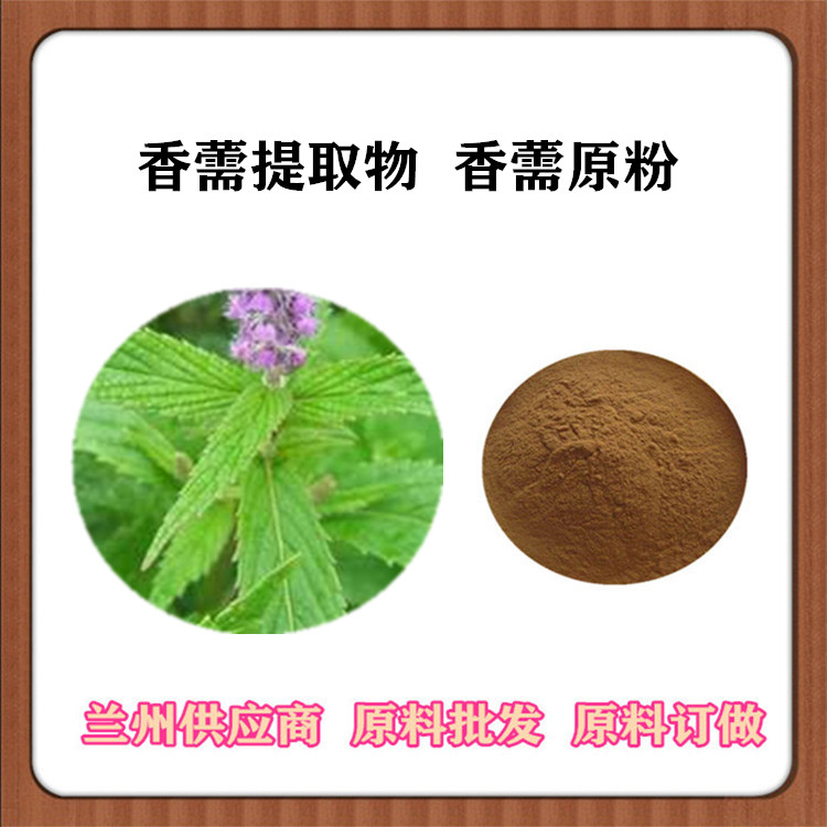 香薷提取物20:1 香薷原粉 浸膏粉喷雾干燥 香薷浓缩汁 沃特莱斯现货