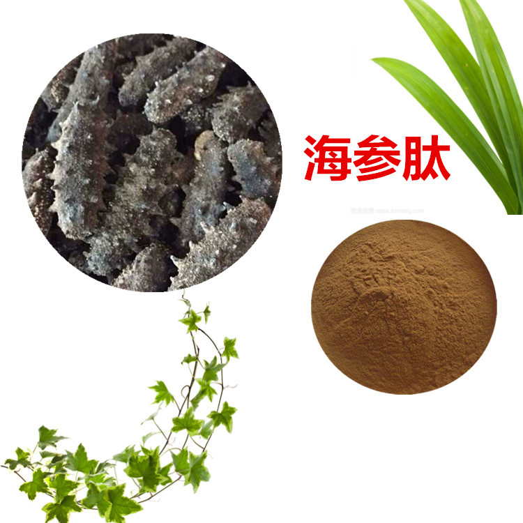 海参肽 海参提取物 海参小分子低聚肽 海参肠蛋白 SC厂家认证