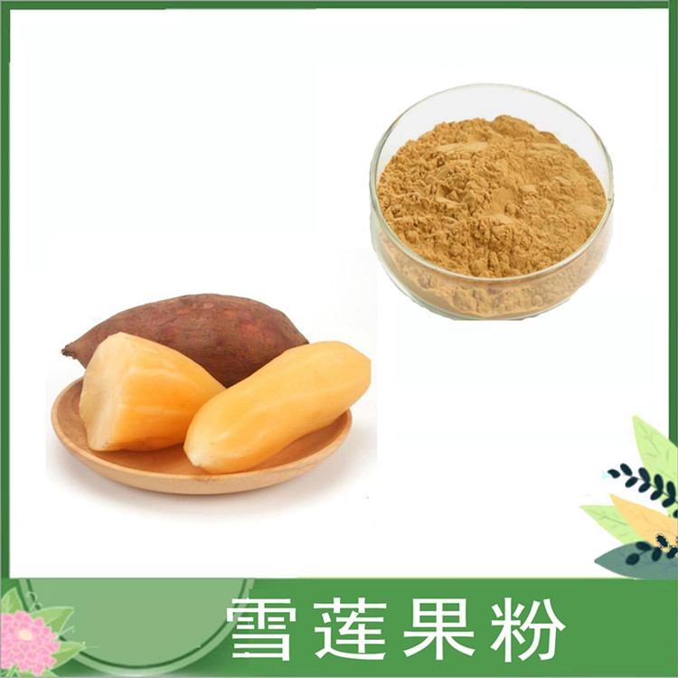 雪莲果粉 水溶性雪莲果汁粉 饮料代餐酵素原料 喷雾干燥水果粉末 食品级