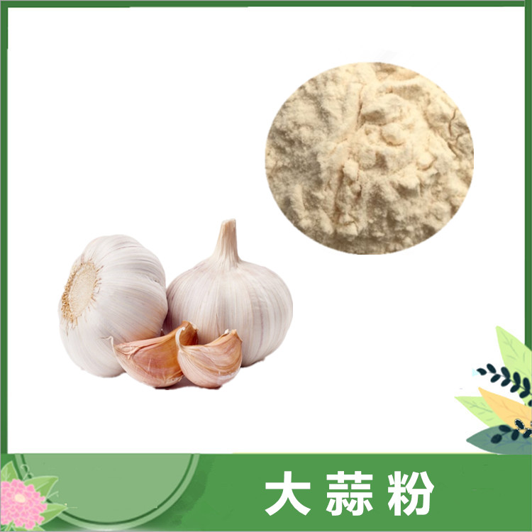 10:1 大蒜粉 大蒜比例提取物 萃取蒜氨酸/大蒜素 植物大蒜粉 含运