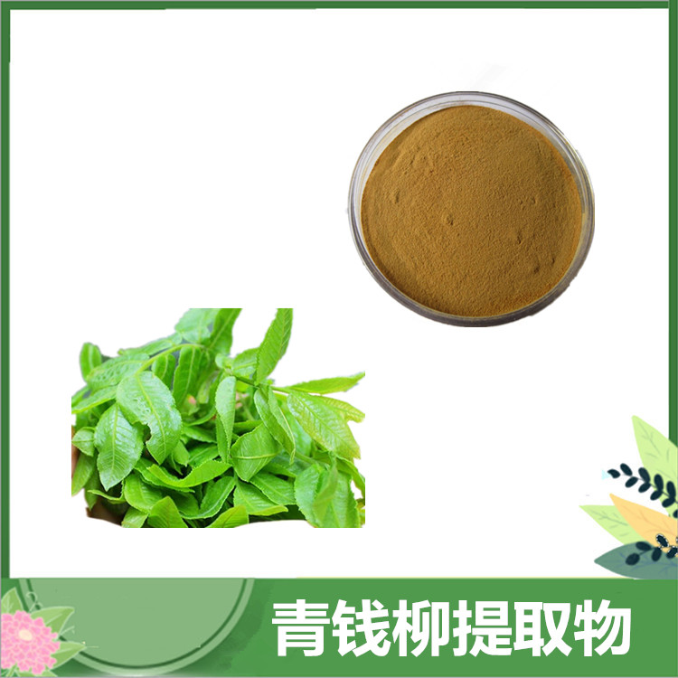 30:1/50:1比例 青钱柳/麻柳提取物 青钱柳多糖 全水溶青钱柳粉 沃特莱斯长期供应