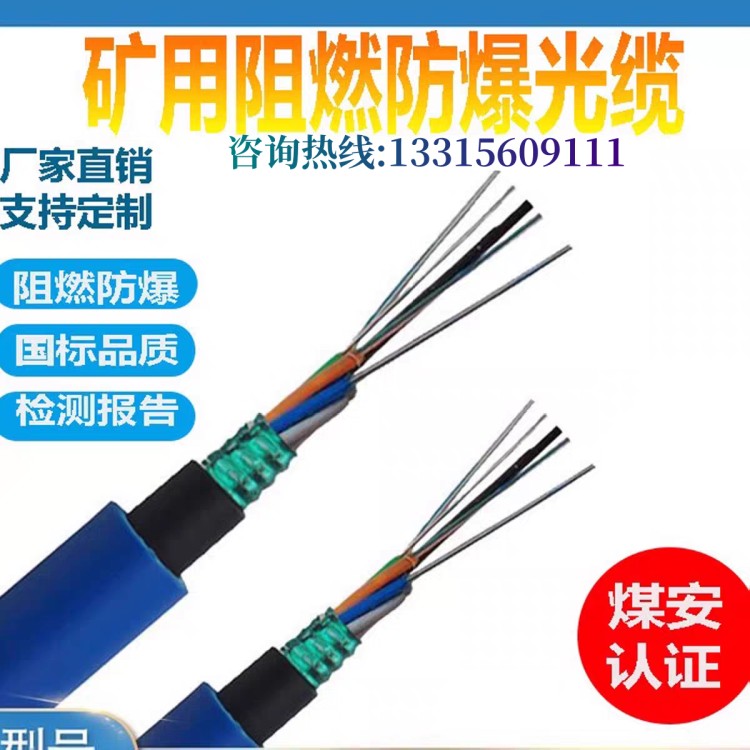 矿用阻燃通信光缆 MGTSV4芯8芯12芯24芯48芯96芯阻燃单模光纤电缆 津东莱
