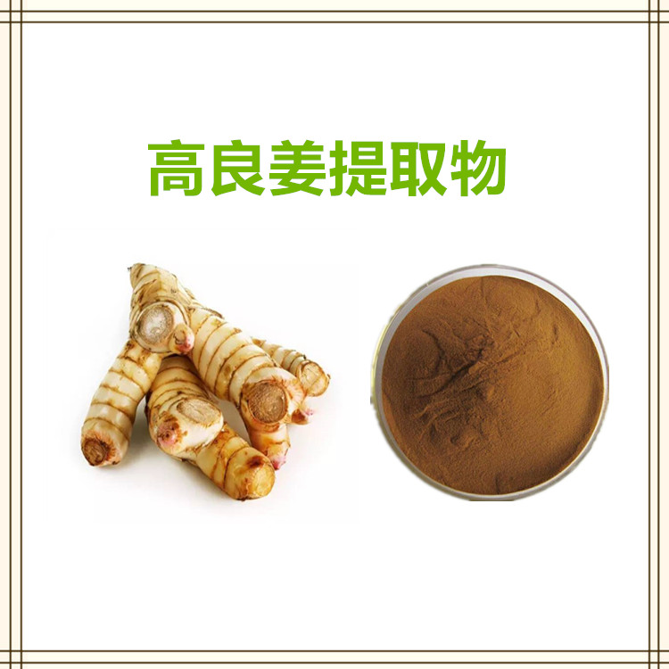 沃特莱斯生物 高良姜提取物 浸膏粉 萃取粉 水溶性很好 可定制