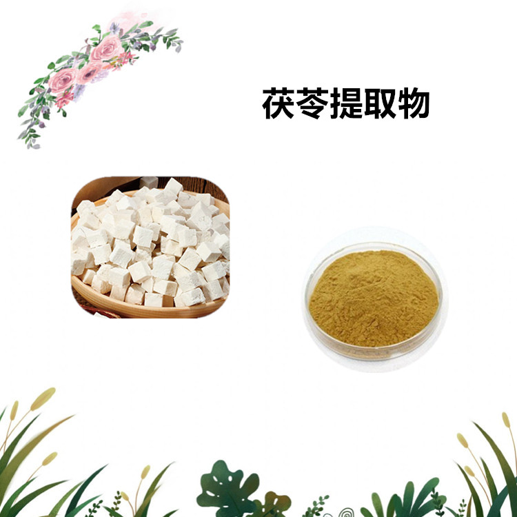 沃特莱斯生物 茯苓提取物 茯苓粉 提取液 量大从优 可定制