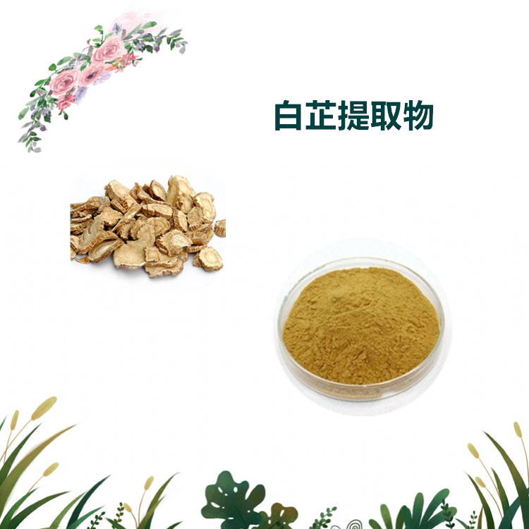 沃特莱斯生物 白芷提取物 萃取粉 喷雾干燥粉 多规格订制