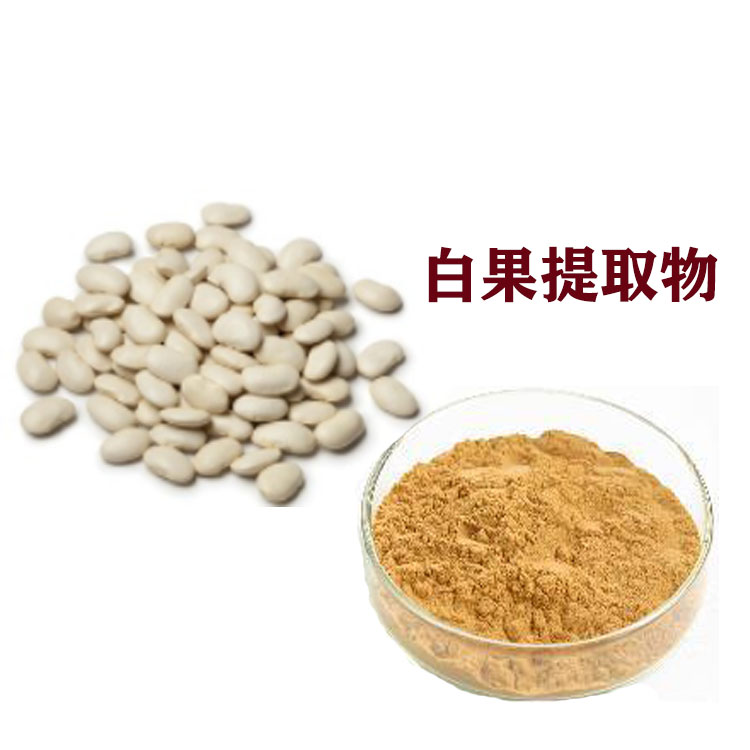 白果提取物 银杏果粉 浸膏粉 萃取粉 多种规格 支持拿样