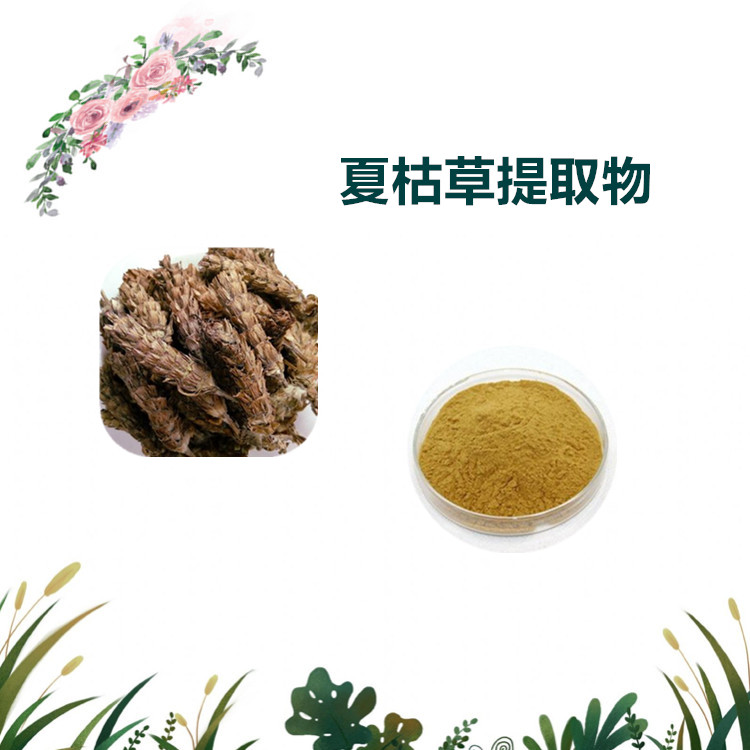 沃特莱斯生物 夏枯草提取物 萃取粉 浸膏粉 水溶性好 可定制