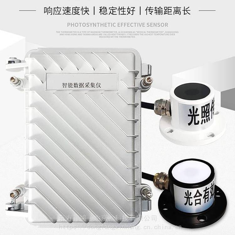光照光合有效辐射记录仪 数据存储 电池供电 东方鑫鸿 DF-GH