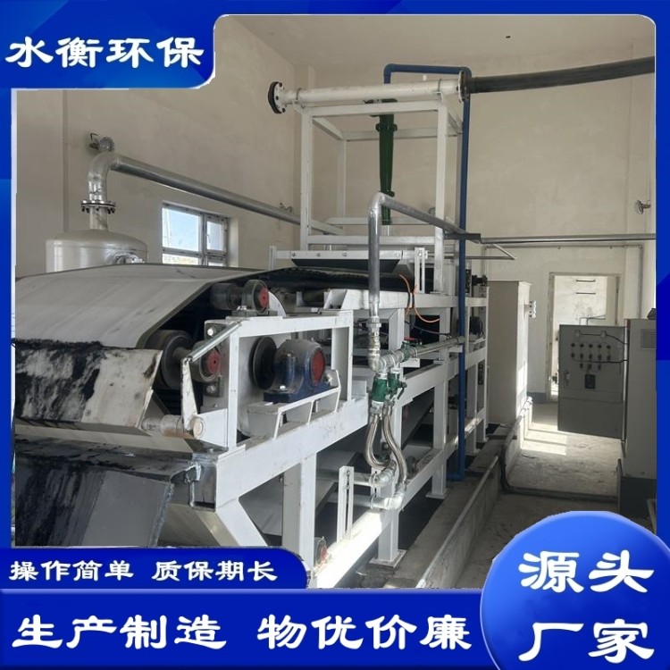 水衡环保生产大型污泥脱水设备 带式真空过滤机 按需定制
