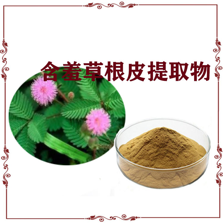 含羞草根皮提取物 10:1 20:1 速溶粉 多种规格 可定制