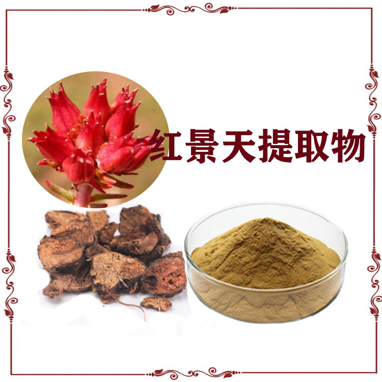 红景天提取物 红景天甙  速溶粉 质量稳定 支持拿样