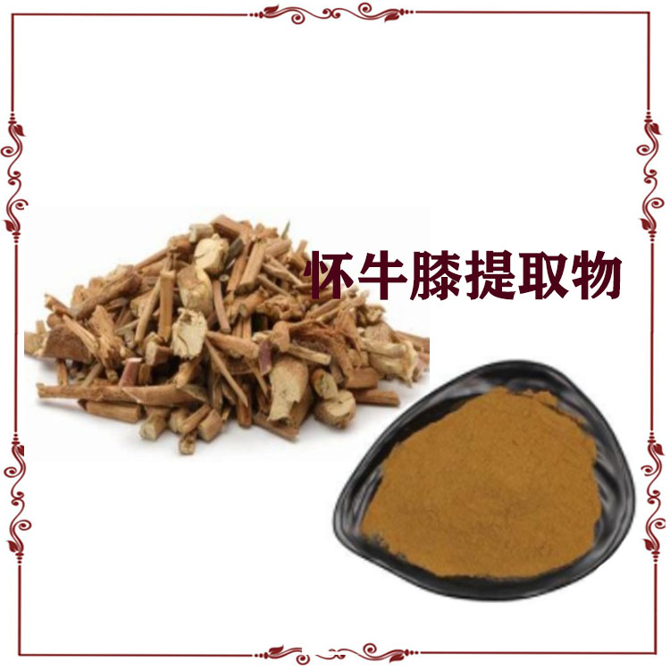 怀牛膝提取物 多糖 速溶粉 浸膏 多种规格 可定制