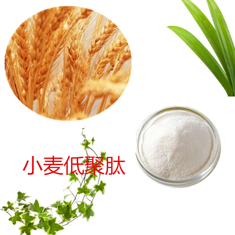 小麦肽 小麦低聚肽 小麦胚芽粉 膳食纤维粉 小麦小分子蛋白肽 可水溶