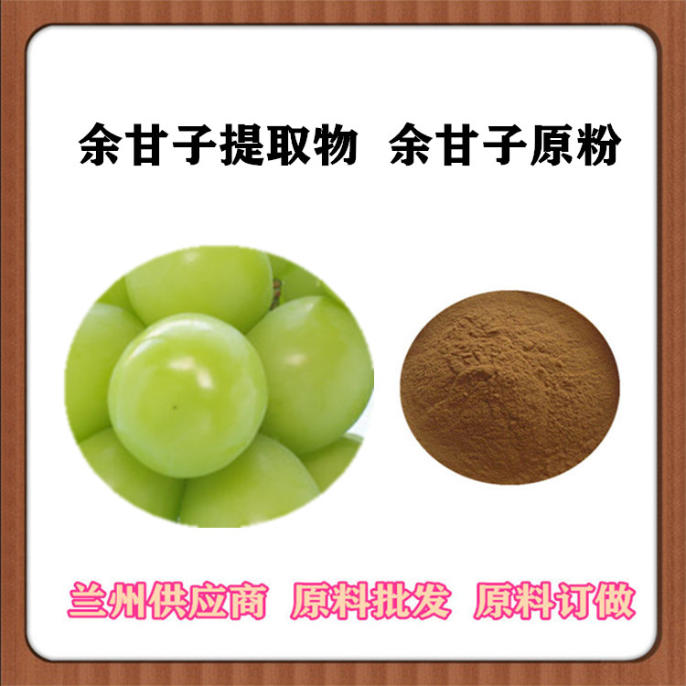 余甘子提取物 余甘子速溶粉120目 浸膏粉 沃特莱斯批发 一公斤起订