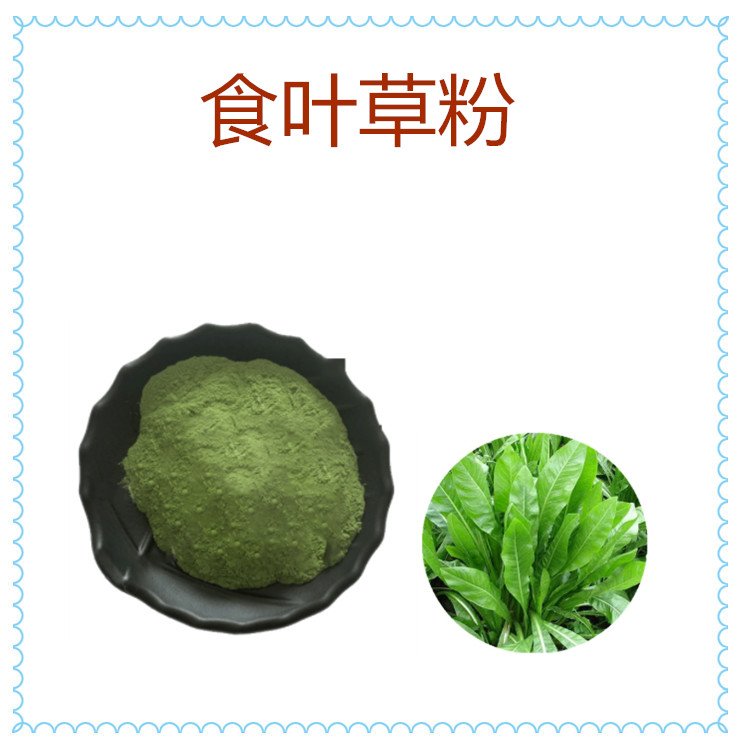 食叶草粉 蛋白草 食品级原料 绿色粉末 质量稳定