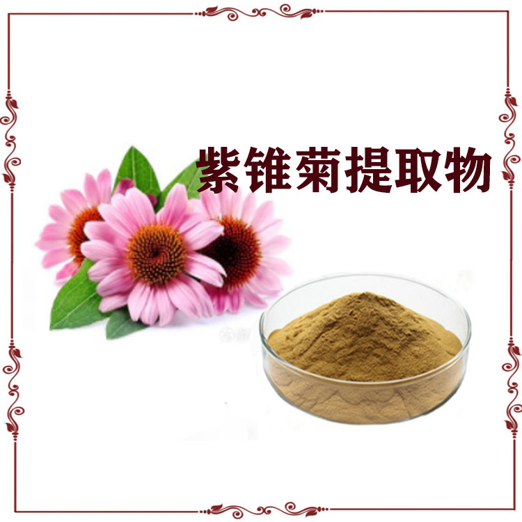 紫锥菊提取物 速溶粉 浸膏粉 120目粉末细腻 质量稳定