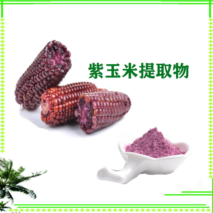 紫玉米粉 紫玉米提取物 花青素 速溶粉 质量稳定 库存充足