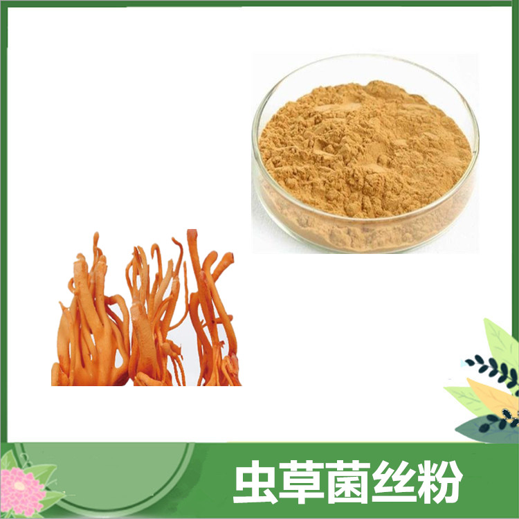 虫草菌丝粉 发酵虫草菌粉 CS-4蝙蝠蛾拟青霉菌丝体粉 沃特莱斯厂家供应