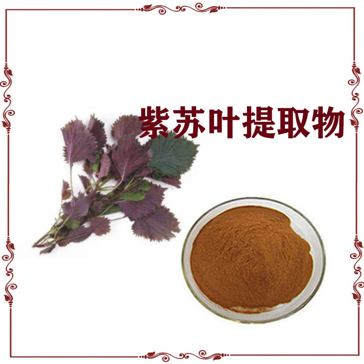 紫苏提取物 紫苏叶粉 速溶粉 浸膏粉 精细粉末 全水溶