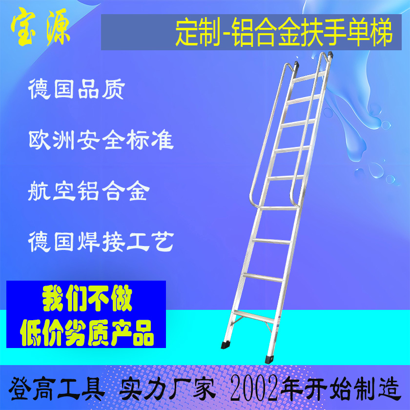 欧标 定制扶手单梯D24
