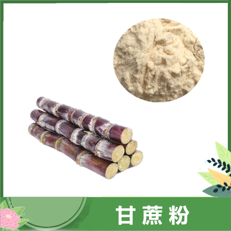 甘蔗粉 水溶性甘蔗速溶粉 固体饮料原料 甘蔗浓缩汁 喷雾干燥 SC认证现货