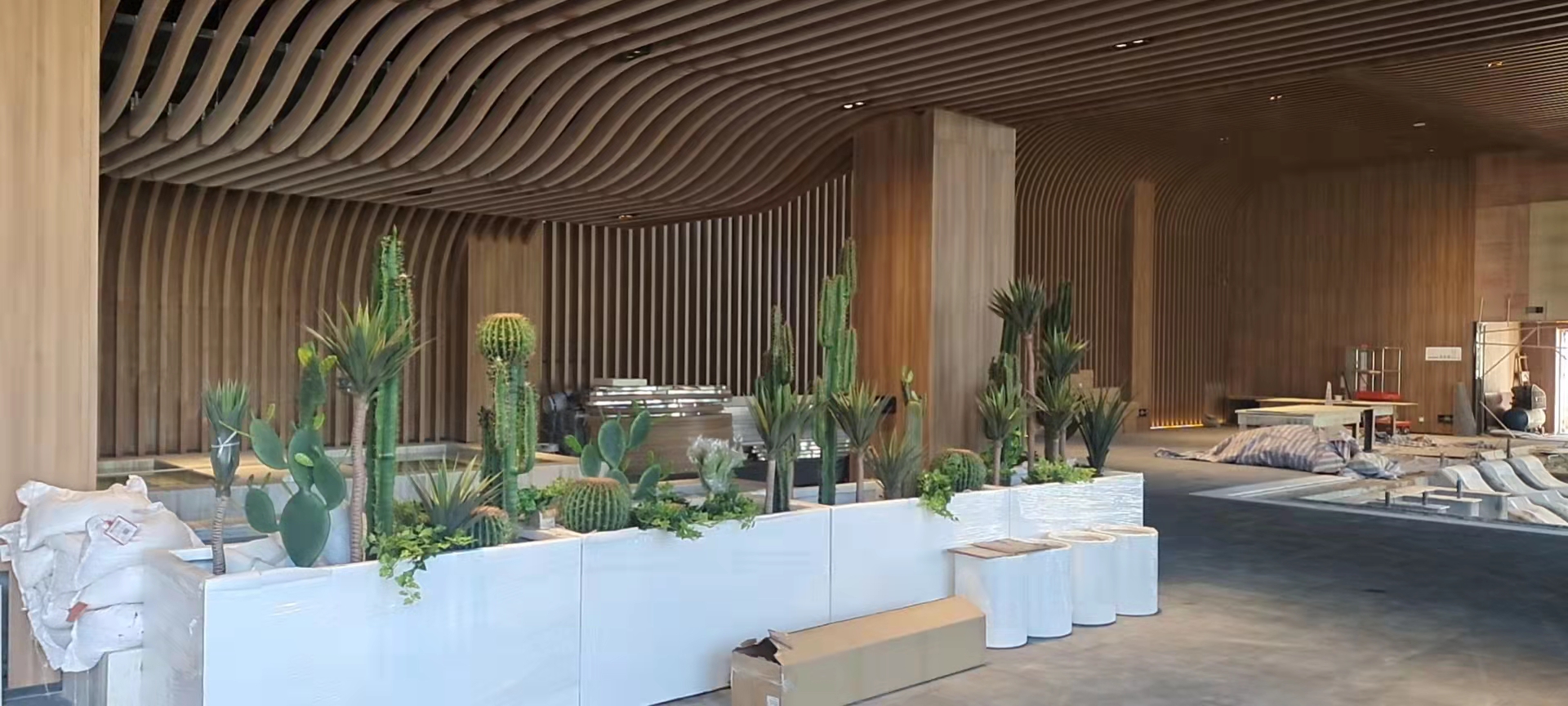 飞昂 仙人柱 量天尺 景观树定制 仿真植物 假树 吊钟