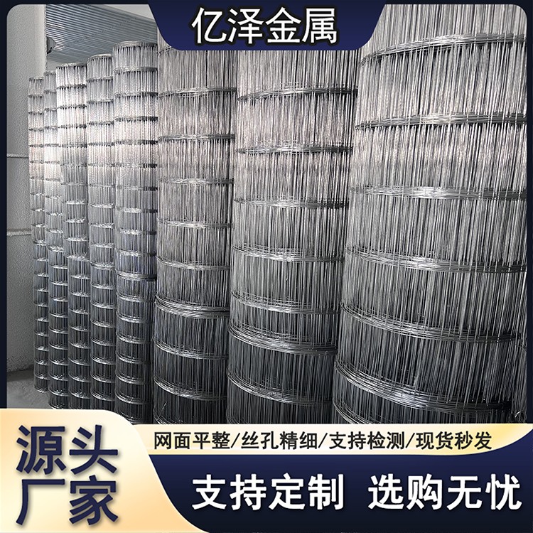 不锈钢焊接网  碰焊网 304 316 321材质 方孔防护网金属围网 不锈钢碰焊网 隔离网 网孔精细 亿泽直营