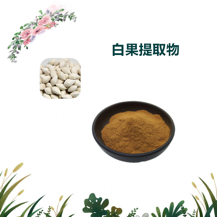 沃特莱斯生物 白果提取物 萃取粉 浸膏粉 全水溶 1公斤起订