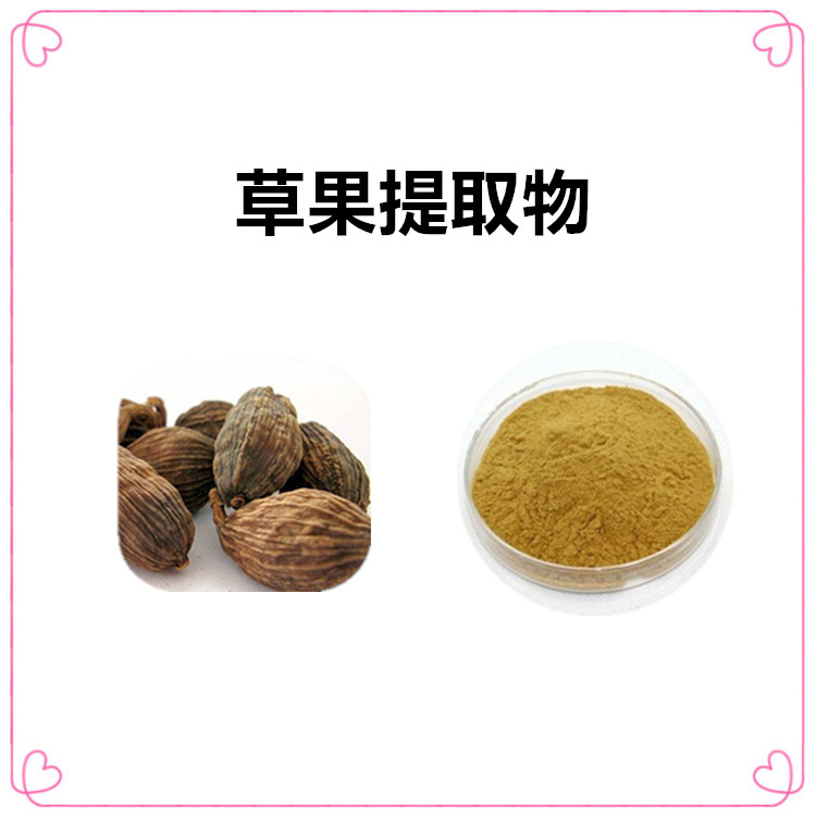 沃特莱斯生物 草果提取物 速溶粉 喷雾干燥粉 1公斤起订 可寄样