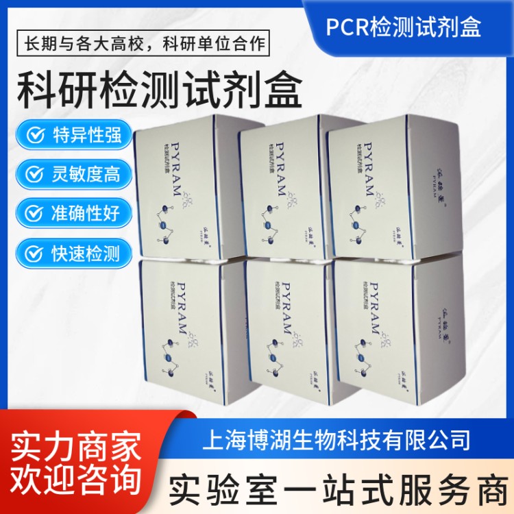 荧光定量 PCR 试剂盒 高灵敏度病毒核酸检测试剂盒 科研实验专用