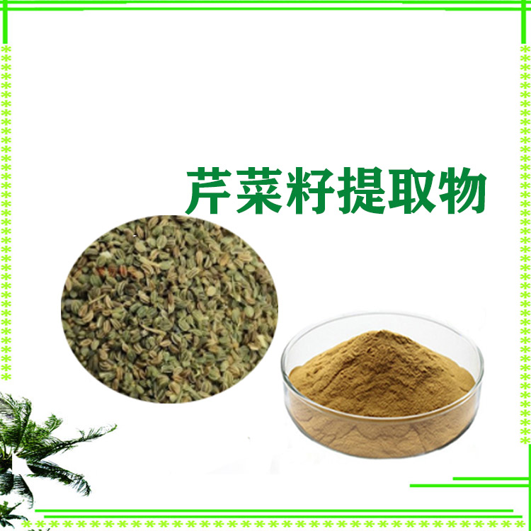 芹菜籽提取物 芹菜素 速溶粉 喷雾干燥粉 粉末细腻 质量稳定