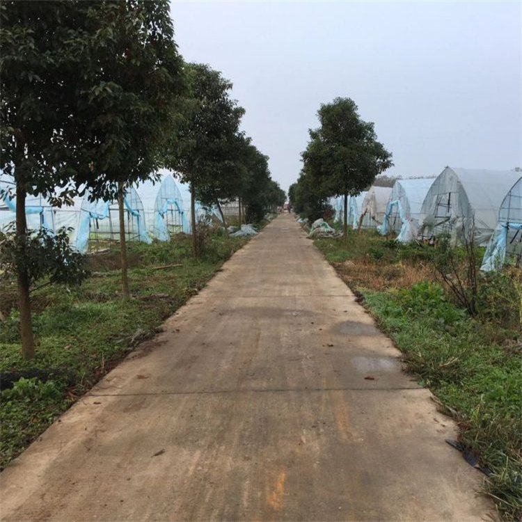 乐美福肉蛋奶配送服务 冷链直达 专业团队  学校适用