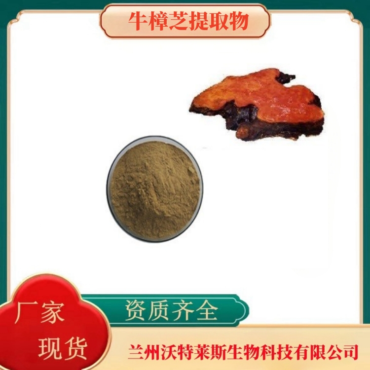牛樟芝提取物10:1 牛樟芝粉 牛樟芝多糖 水溶 行业精选  沃特莱斯生物