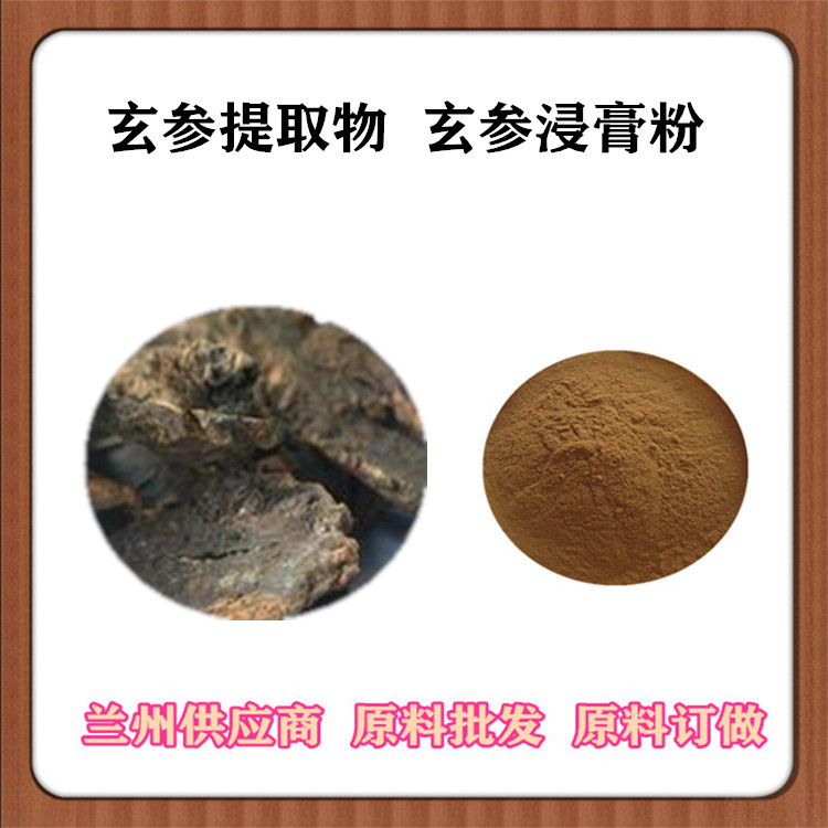 20:1玄参提取物 萃取玄参甙 玄参浸膏粉 全水溶速溶粉 订做提取液 食品级