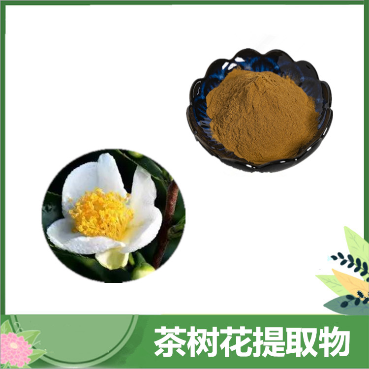 茶树花提取物 30:1/50:1茶树花比例萃取 茶多酚 茶树花浓缩粉 喷雾干燥