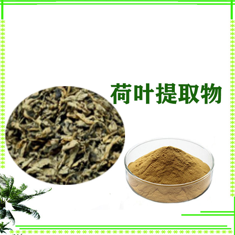 荷叶速溶粉 提取物 喷雾干燥粉 荷叶黄酮 多种规格 可定制