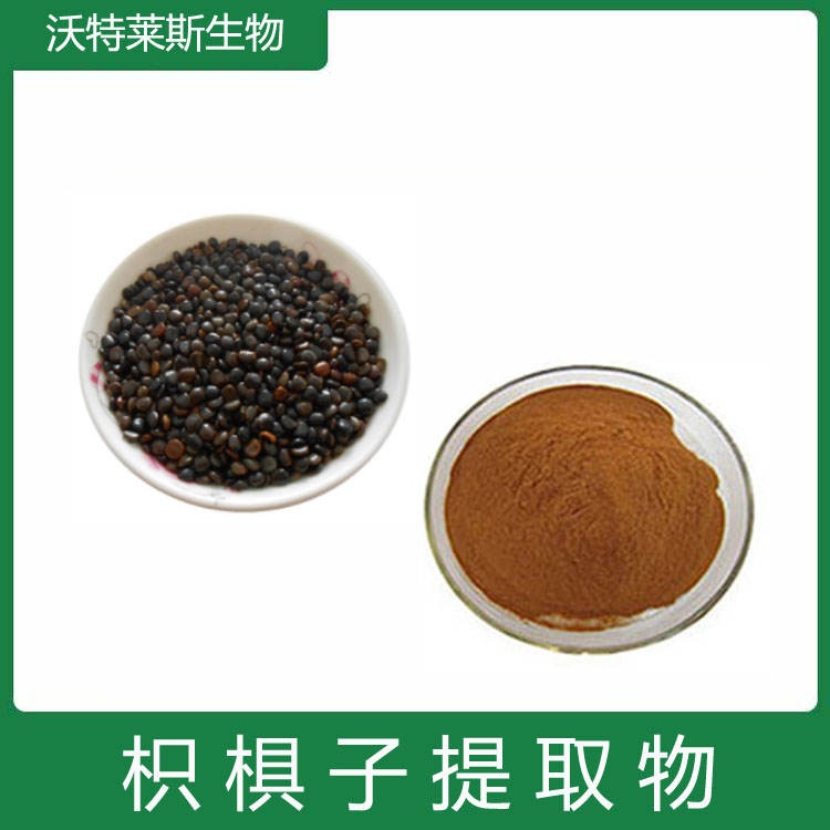 枳椇子提取物 速溶粉 浸膏粉 120目精细粉末 水溶性好