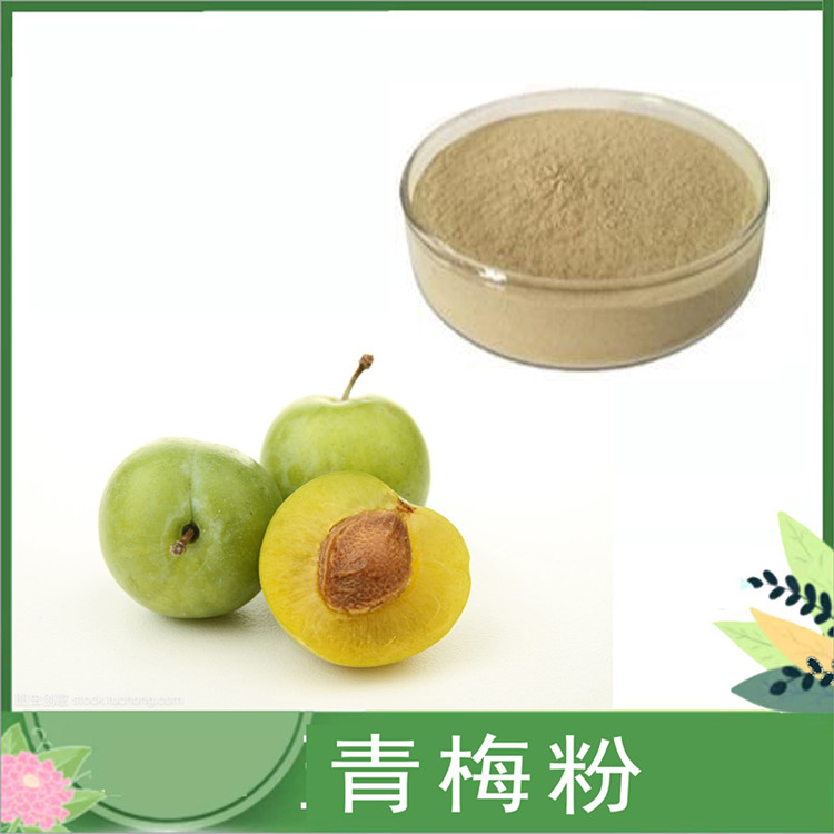 青梅/话梅粉现货 话梅浓缩汁粉 水溶果粉 饮料硬糖烘焙原料 一公斤发样