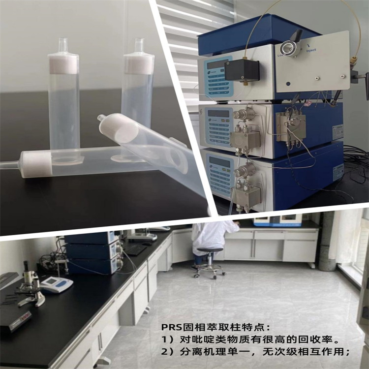 WAX弱阴离子交换固相萃取柱