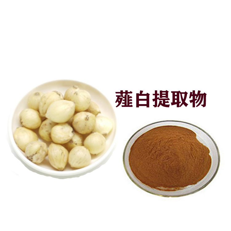 薤白提取物 速溶粉 浸膏粉 药食同源 沃特莱斯生物 大量库存