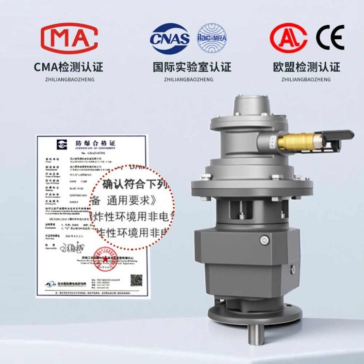 大功率叶片式气动马达配斜齿轮减速机 高转速工业减速设备