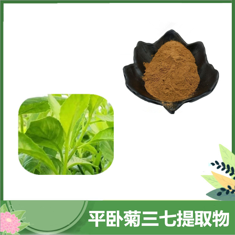 平卧菊三七提取物 30:1/50:1蔓三七草提取物 平卧菊三七浓缩粉