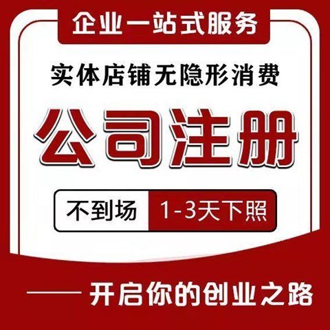 注册营业执照 代办工商注册 会计报税 变更注销业务全程网签
