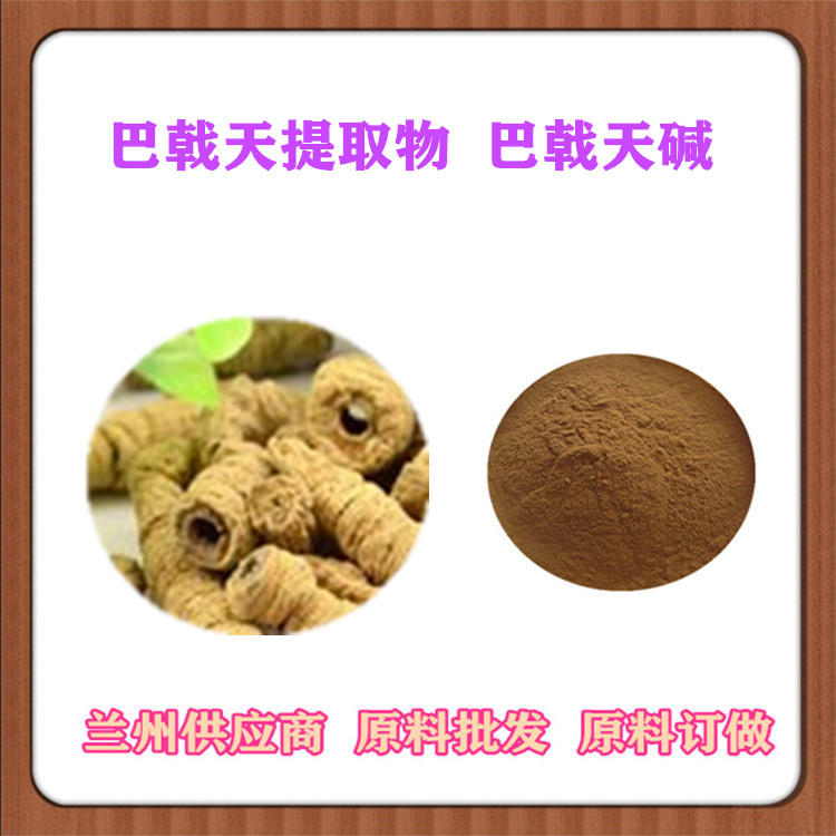 巴戟天多糖 巴戟天提取物20:1 巴戟天浓缩粉 沃特莱斯供应 巴戟天提取液订做