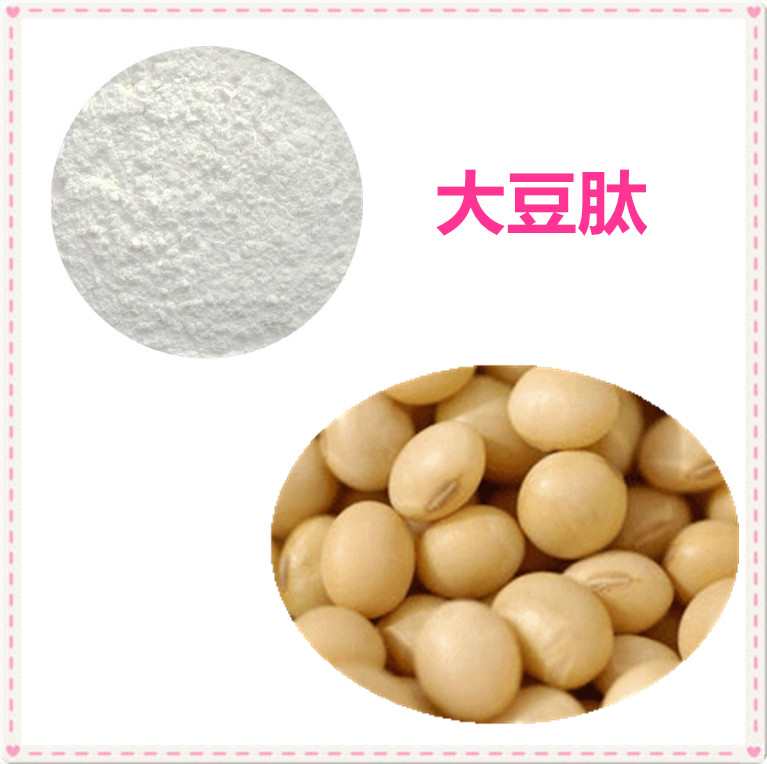 80%大豆低聚肽 小分子多肽 500D 大豆蛋白粉 大豆肽粉 沃特莱斯厂家供应
