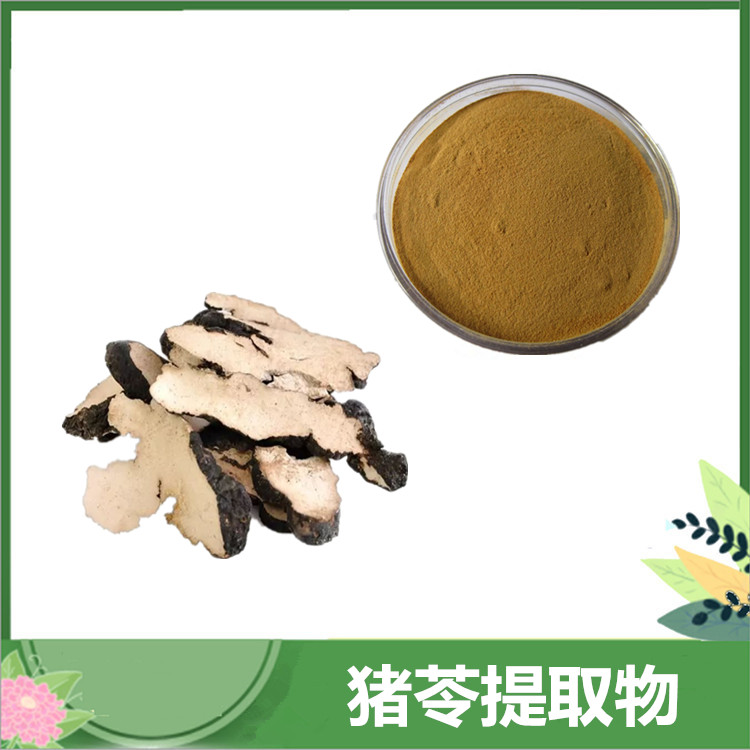 猪苓提取物 10:1植提猪苓多糖 水溶猪苓浓缩粉 野猪粪比例提取物 可发样