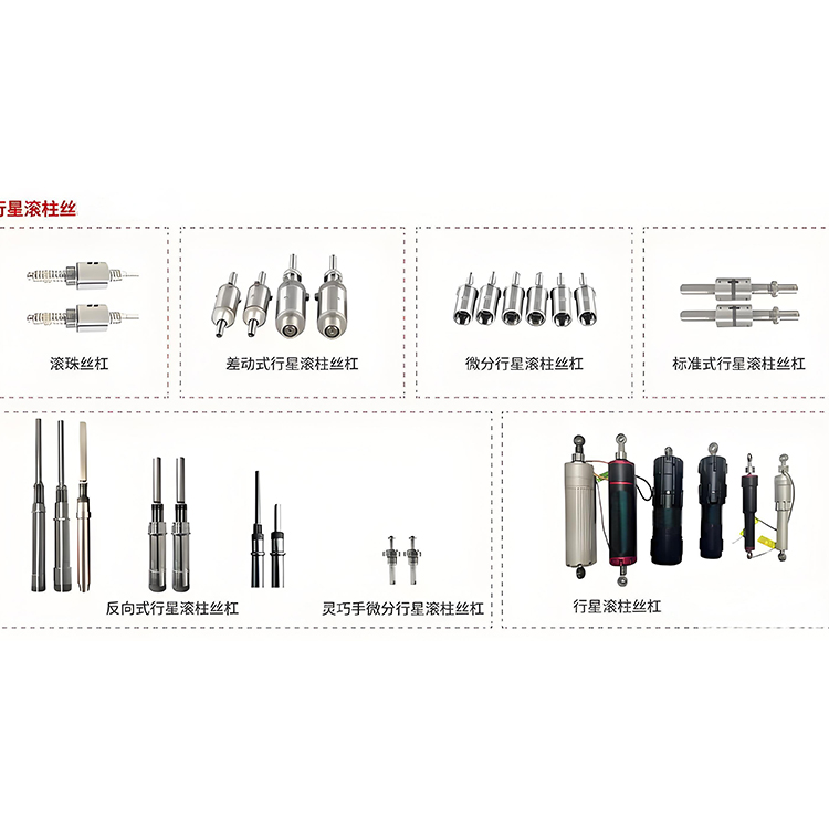 行星反向丝杆 厂家直销