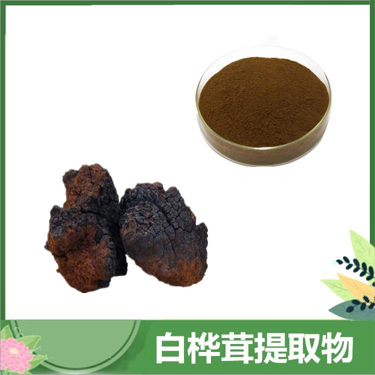 白桦茸提取物 30:1/50:1白桦茸粉 白桦茸三萜/多糖 桦褐孔菌浓缩粉 可发样